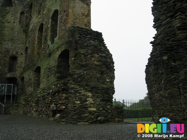 24206 Fern Castle ruins